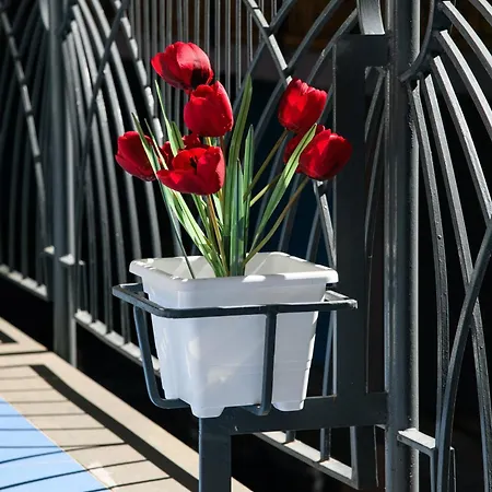 Testa's House דירה סורנטו