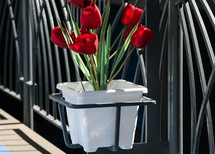 Testa's House Апартаменти Сорренто